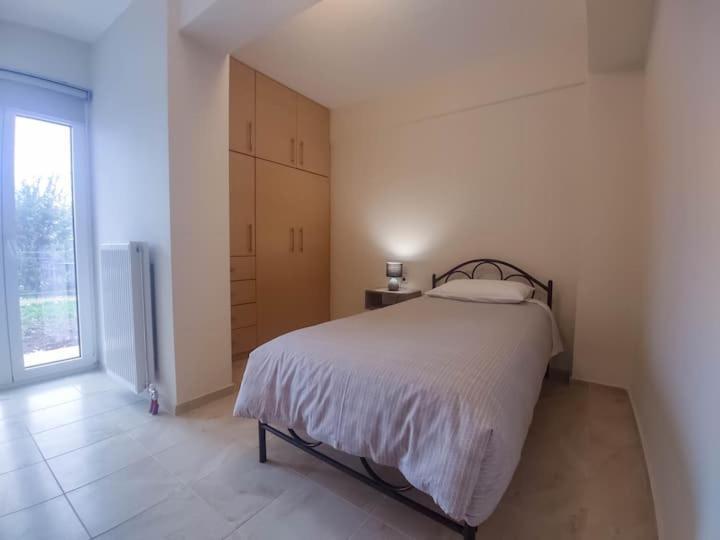 Cozy Modern Apartment Ioannina Bagian luar foto